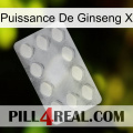 Ginseng Power X 16